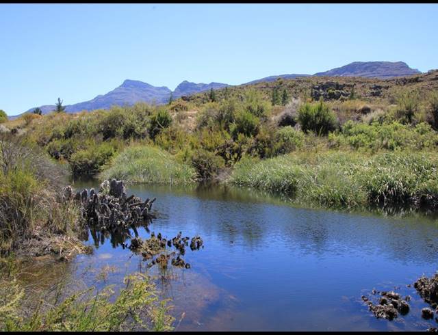 86HA FARM FOR SALE IN CERES RURAL